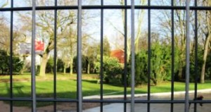 Insel-Park mit Zaun ©Michael Rothschuh 